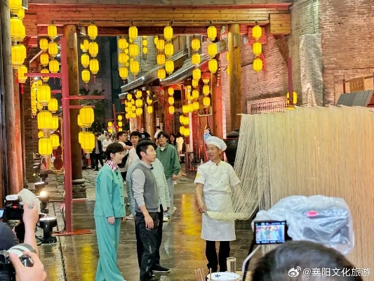 撒贝宁现身河南开封开启文化与魅力交融之旅