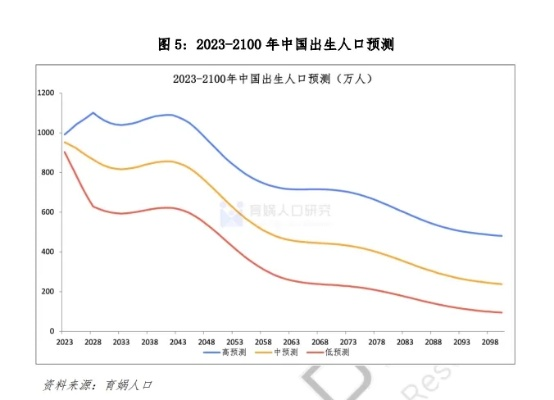 2023 年各地人口出生率，变化、影响及未来走向