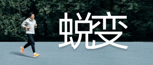 港星转行背后的坚韧人生，40岁转行搬运工养育四子的励志故事