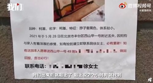 女子悬赏上海房产寻子引七人验亲行动，一场亲子真相的探寻