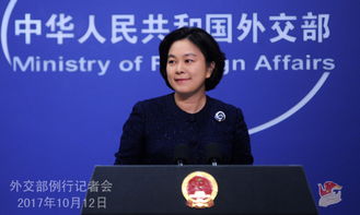 中国外交部发言人华春莹呼吁国际社会共同推动构建更加公正的全球传播新秩序