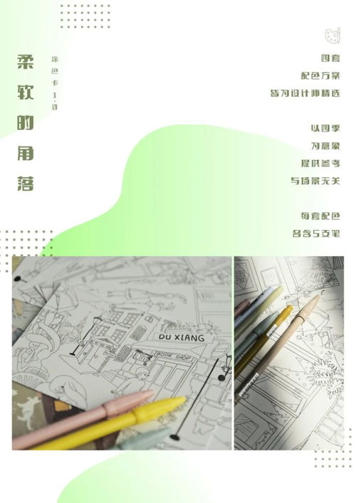 网络迷航，色中色论坛的兴衰启示录