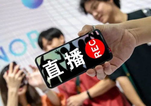 精选项目 第41页
