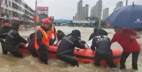 中标结果 第42页