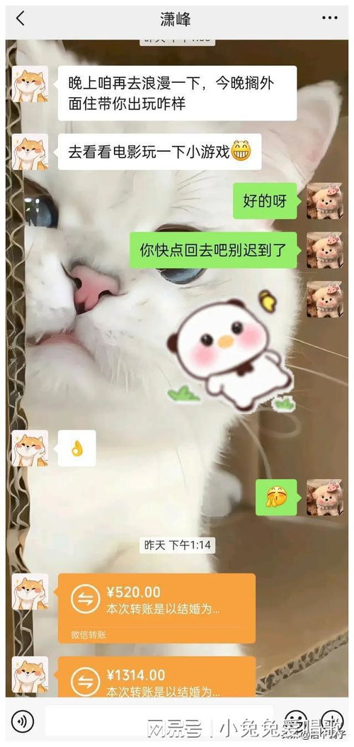 男子转账备注自愿赠与后反悔，分手后引发返还纠纷风波