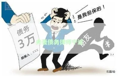 深圳退休夫妇巨额债务事件揭秘，专家深度解读背后的原因与影响