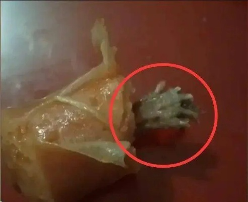 菜市场中老鼠啃食鸡腿引发的食品安全与卫生思考