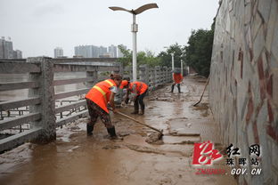 洪水退去后的涞水，淤泥厚半米的家园