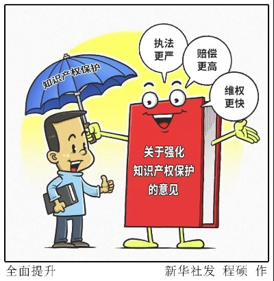 中国国家知识产权网，引领知识产权保护新力量