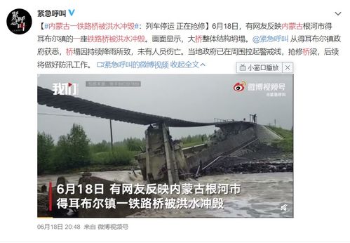 任志强的经典语录，深度洞察与智慧箴言