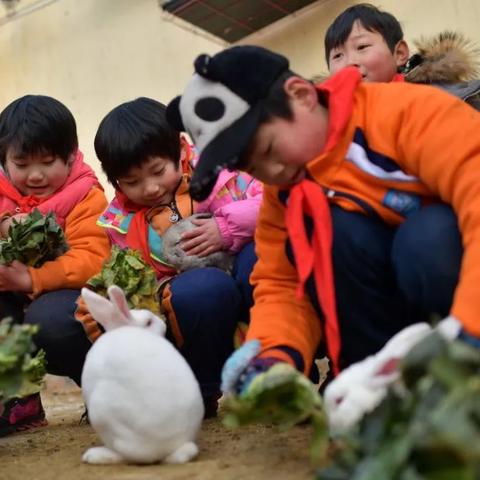 全国冬小麦收获进度过半，丰收季节展现希望田野
