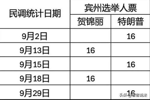 美国大选局势风云变幻，最新动态与未来走向深度解析