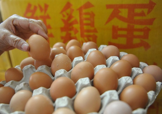 台湾鸡蛋供应危机，每日缺蛋120万，挑战与对策