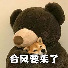 2025年9月1日 第22页