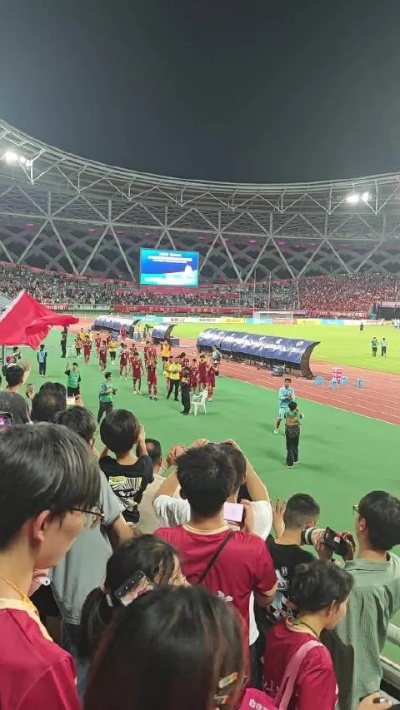陈若琳亮相苏超南通队主场，引爆球迷激情夜
