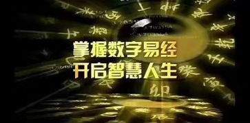 数字自由背后的代价，免费电影与隐秘成本