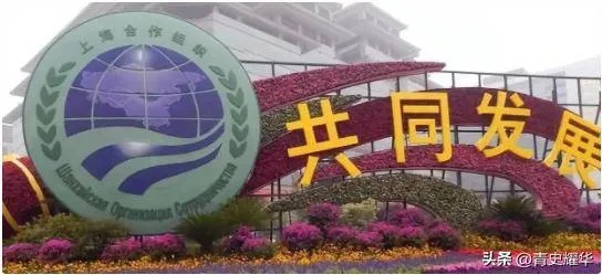 上合峰会在天津开启合作新篇章，外方领导人齐聚共谋发展
