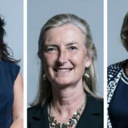 英国保守党议员脱党现象，影响及深度剖析