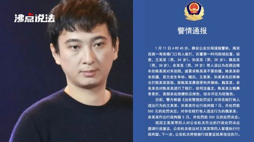 深度剖析王思聪打人事件的法律责任
