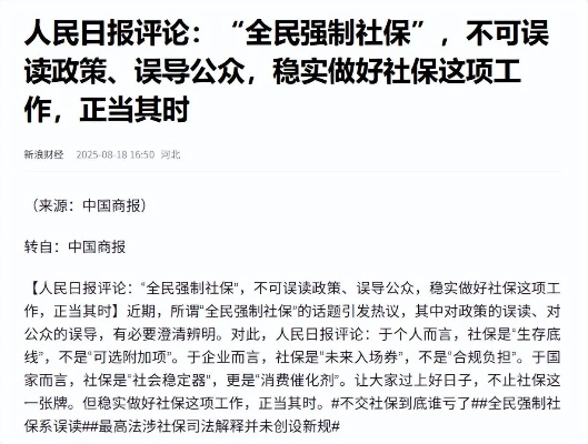 全民强制社保真相揭秘，谣言解析与探讨