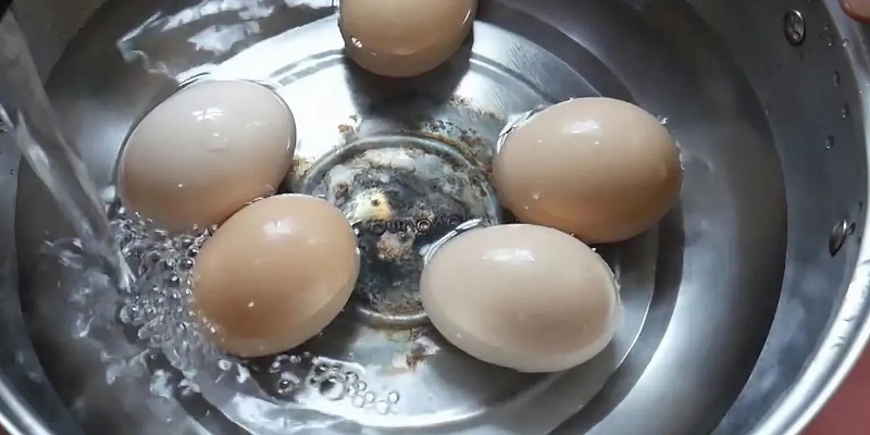 2025年9月2日 第12页