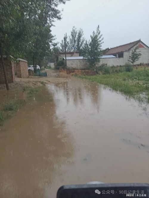 河南终于迎来降雨