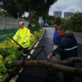 厦门交警辟谣翔安隧道海水倒灌事件真相揭秘