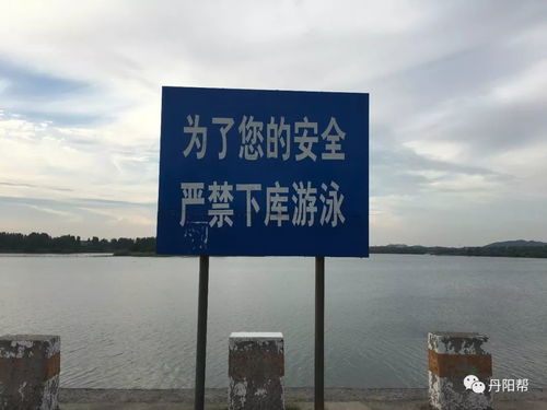 高考生野泳溺亡，生命之网下的警示与反思