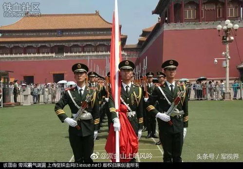 少年暴雨中的国旗情怀，荣耀、责任与情感的力量
