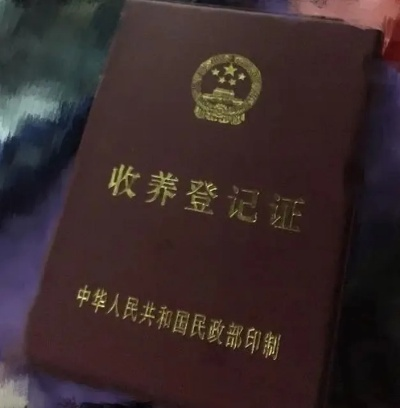 领养证背后的秘密