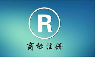 国家商标局，商标权益的坚实守护者