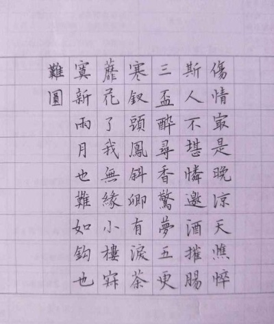 字如其人，男孩硬笔字迹宛如印刷体的魅力与启示