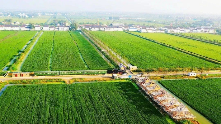 推进农业标准化示范区建设，为农业现代化发展添翼