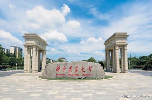 公共资源交易中心 第5页