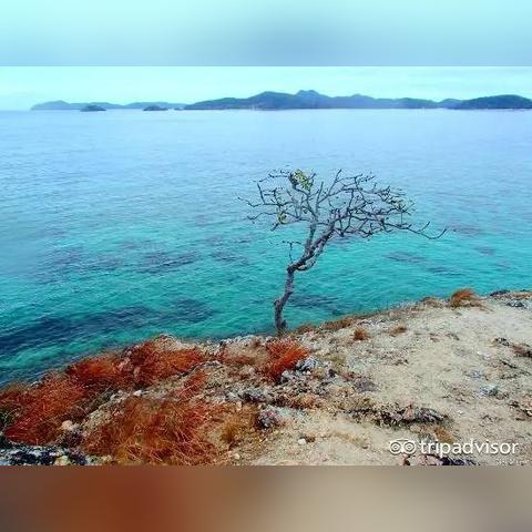 霸王风月 第14页