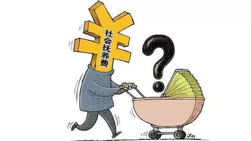 解析白美富，复杂多元的社会现象剖析