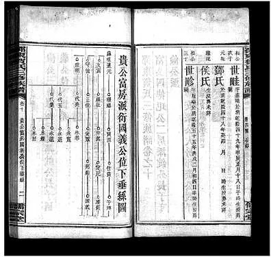 贺氏Y太，家族荣耀与时代典范的光辉展现