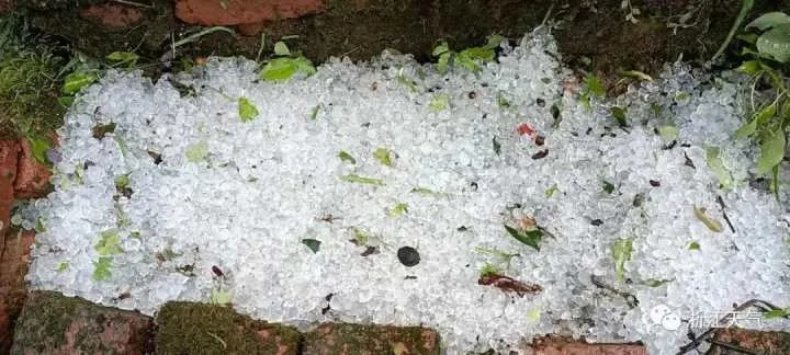 河南冰雹灾害，影响及应对措施