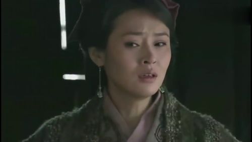 楚汉传奇之曹氏风云，乱世佳人的传奇人生