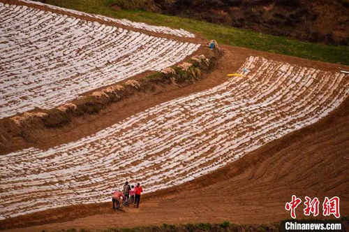 卫星视角下的祖国大地春耕图，大地复苏，春播希望