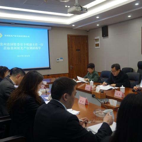 贵州知识产权局，推动知识产权保护与发展进程