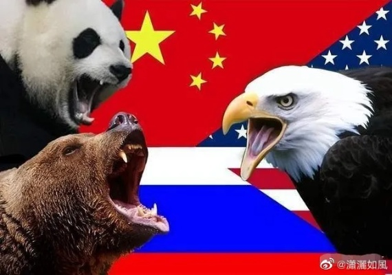 普京回应中俄印龙熊象比喻，深化三国合作战略共谋发展大局