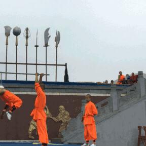 河南之旅，历史与现代的完美交融