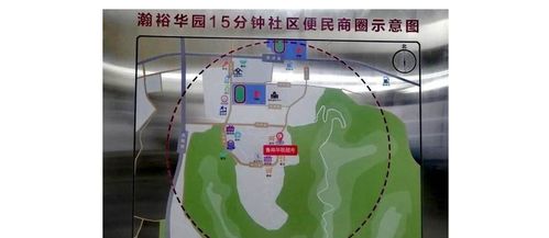 大象网都市频道，勾勒城市生活多彩画卷
