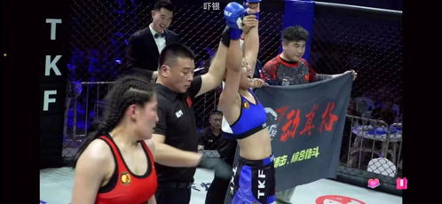 武林风直播，热血与激情交织的格斗狂欢