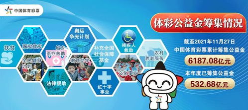 河南体彩网，公益与激情的完美交融