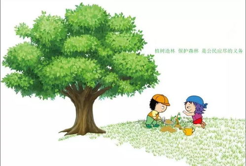 快乐树友的生活纪实