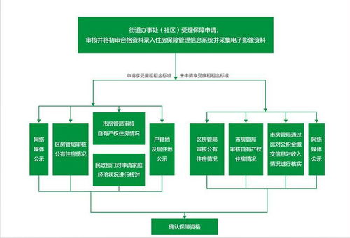 审查指南，规范流程与保障质量的核心要素