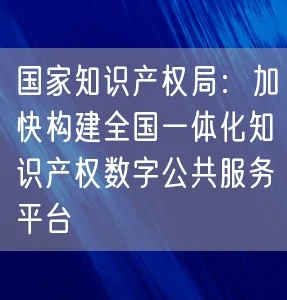 国家知识产权局网，知识产权保护数字化平台亮相