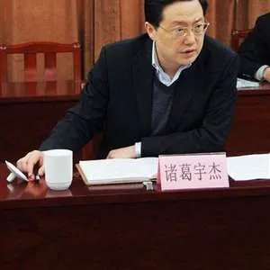 诸葛宇杰，闪耀的智慧之星